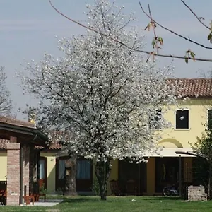 Particolari Del Brenta Appartement